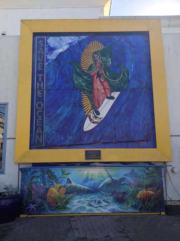 Мадонна, которая занимается серфингом