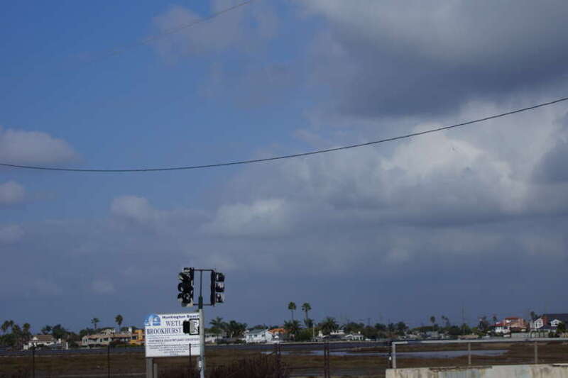 2013, Huntington Beach, Brookhurst Wetlands