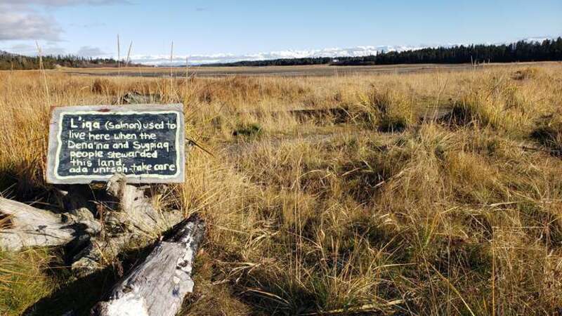 Salmon nation recovery