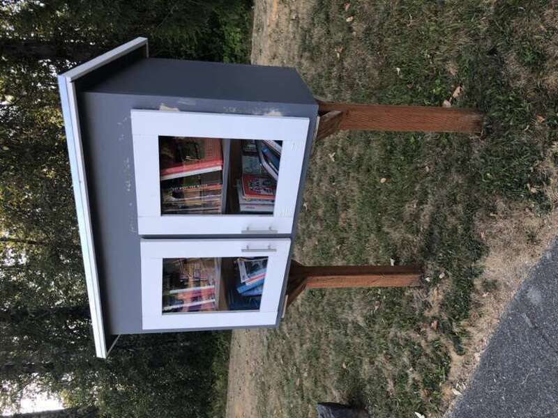 Little Free Library, SE 221st Pl, Kent, Washington