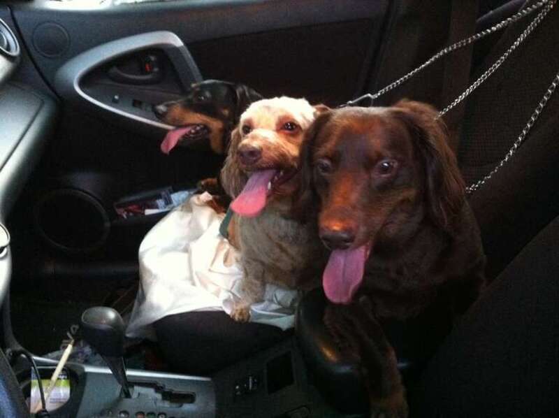 We spent about 1.5 hours at the mid week concert, Port Warwick.