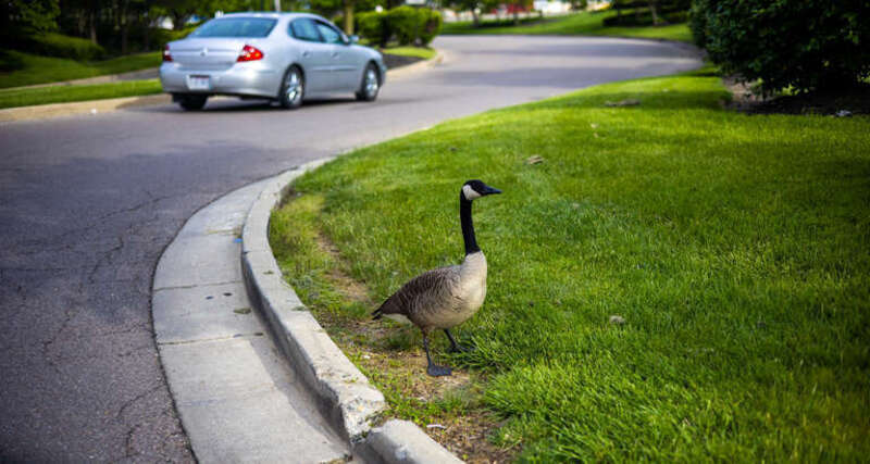 Photo taken in Beavercreek, Ohio.