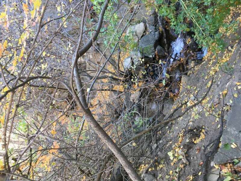 Adams Canyon, Layton, Utah, October, 2019