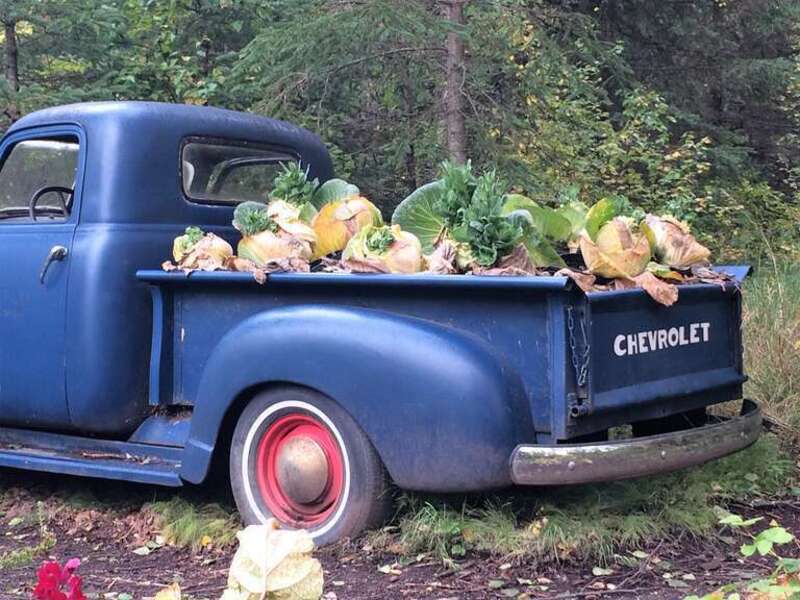 Giardino botanico di Anchorage