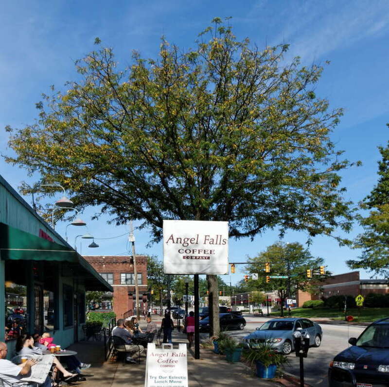 Angel Falls Coffee Shop