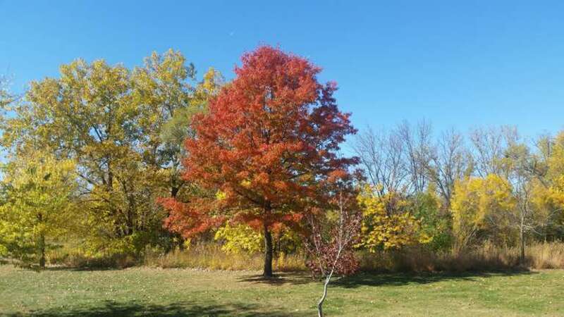 Veterans Memorial Park
Richfield, Minnesota