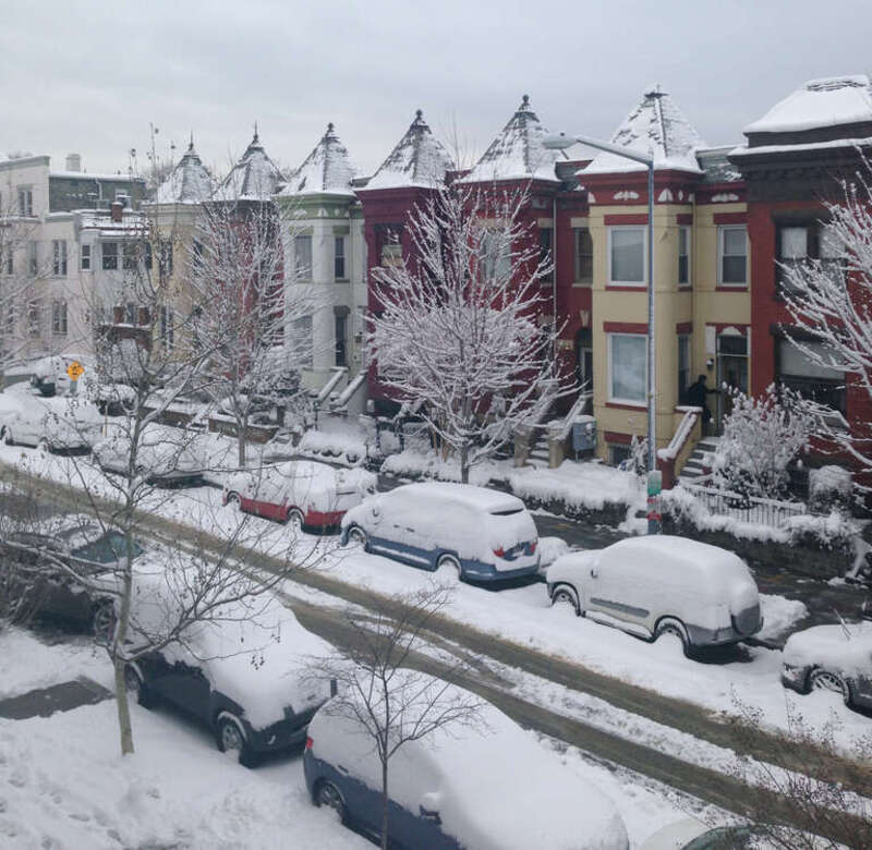 The Bloomingdale neighborhood's distinctive Victorian-style rowhouses, in the snow.