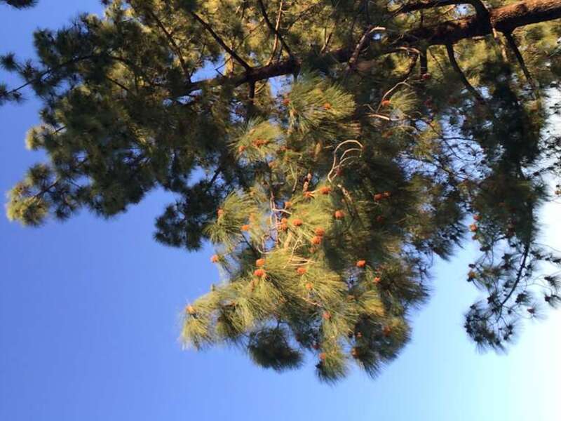 California, USA - March 2016

Orange County (LA) in March 2016