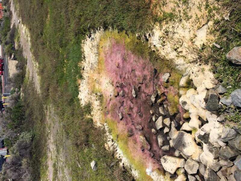 California, USA - March 2016

Orange County (LA) in March 2016