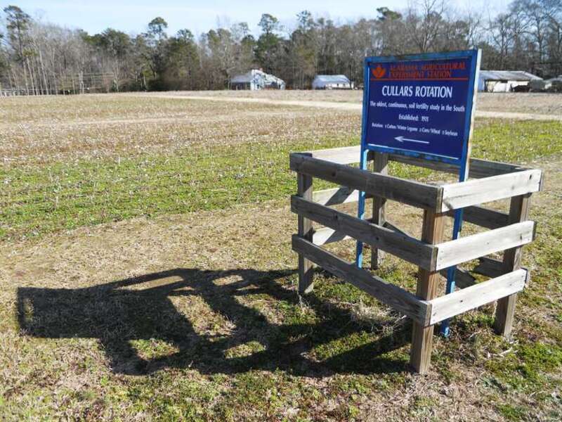 This is a picture of Cullars Rotation which is the oldest continuous soil fertility experiment in the Southeastern United States. Cullars Rotation is located on the campus of Auburn University on the corner of South College Street and Woodfield