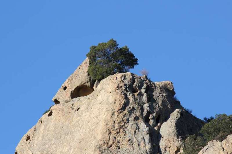 Diablo Foothills Regional Park  (East Bay Regional Park District)