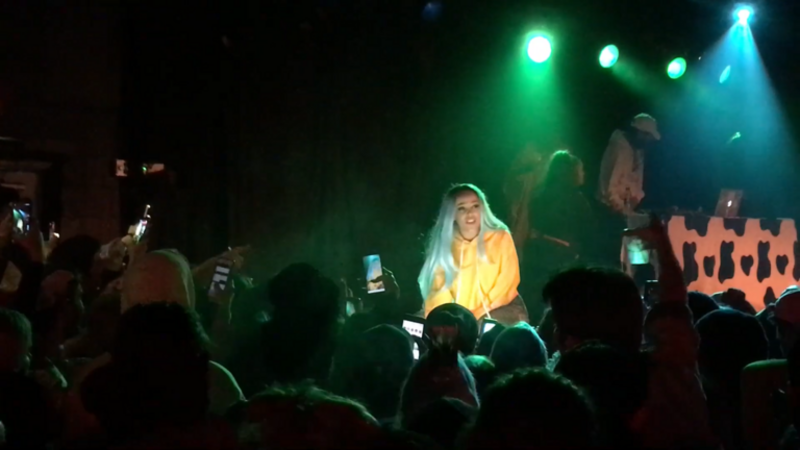 Doja Cat performing at The Cabooze, Minneapolis in October 2018 amid the popularization of &quot;Mooo!&quot;, hence the cow-print style set