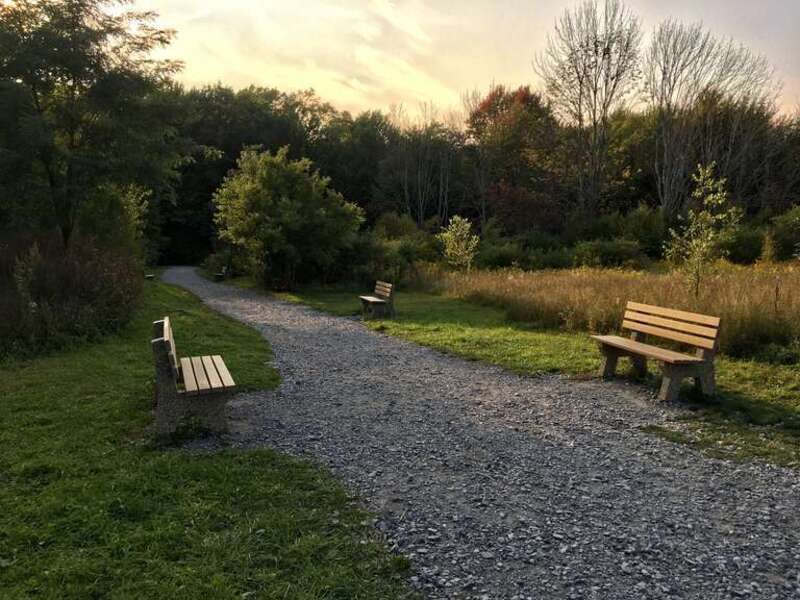 Comfy benches offer respite for hikers at the head of the Eternal Flame Trail at Chestnut Ridge Park in Orchard Park, New York, as seen on a September 2020 evening.