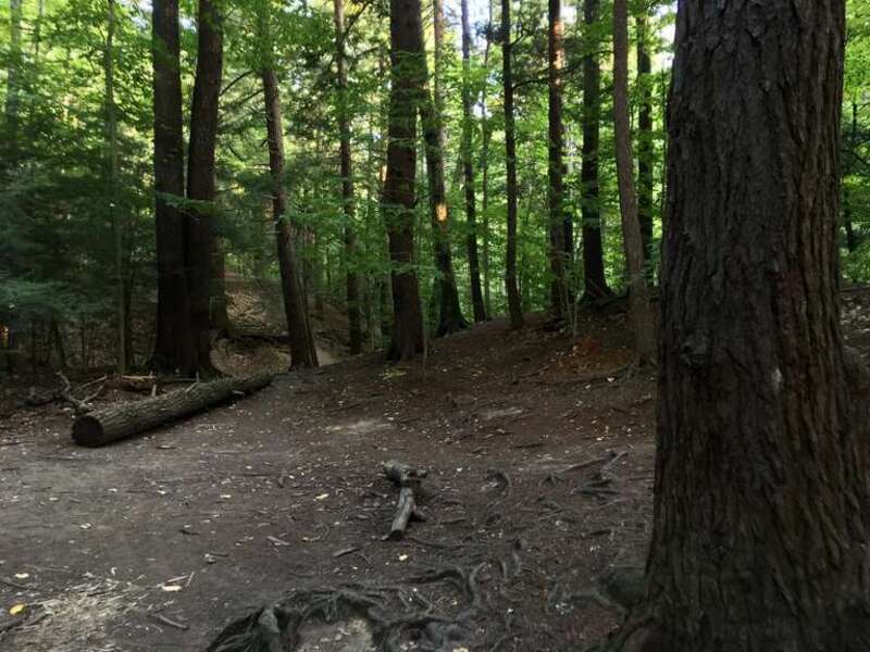 The Eternal Flame Trail lopes along the uneven terrain of Chestnut Ridge Park in Orchard Park, New York, as seen on a September 2020 evening.