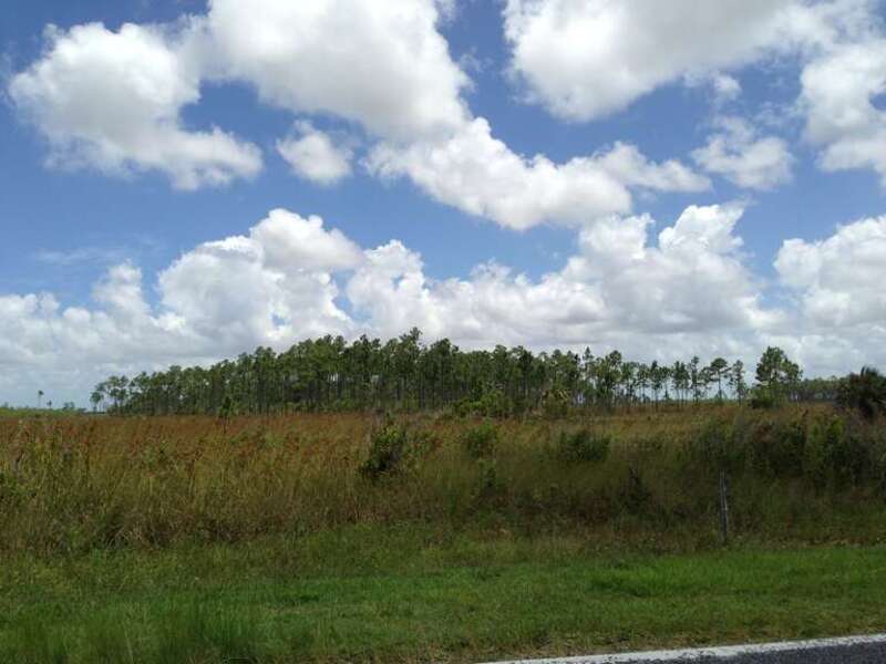 Everglades View
