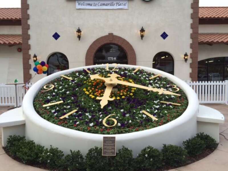 Floral Clock in Camarillo, CA, which was dedicated to the owner, Mr. David Pick.