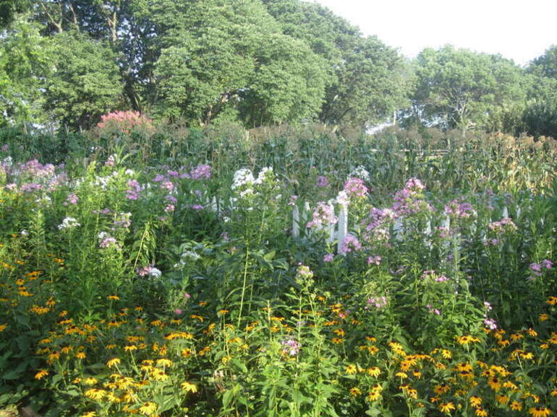 I took photo of flower garden at Monroe's Ashlawn-Highland in VA, with Canon camera.