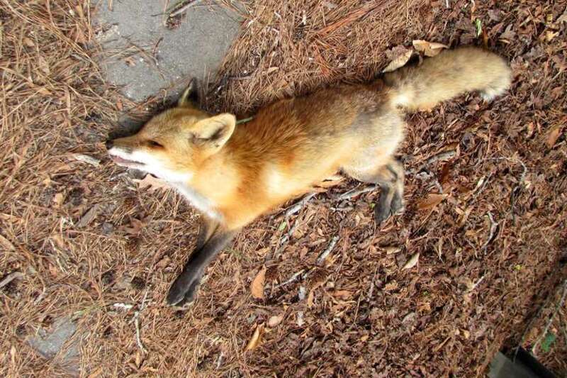 found off the road by Lake Johnson