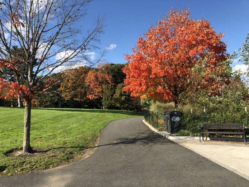 Path in Fresh Pond Reservation, Cambridge, Massachusetts, with fall foliage.