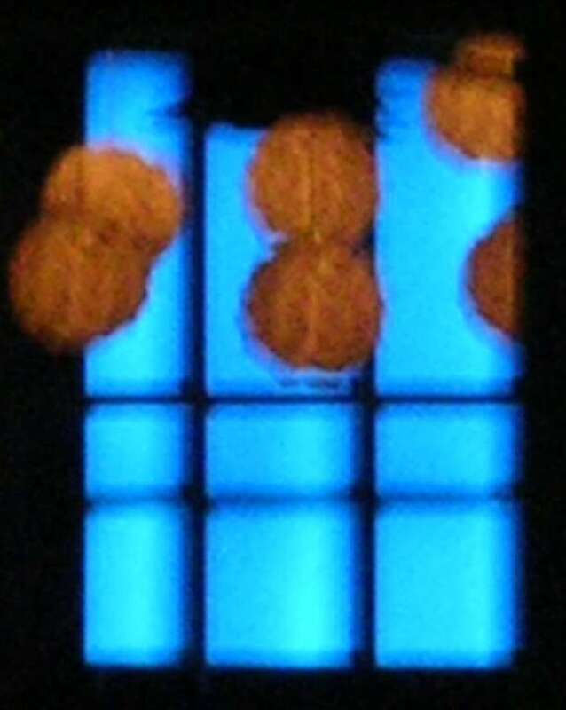 fuzzy blue olive Tacoma Foss waterway