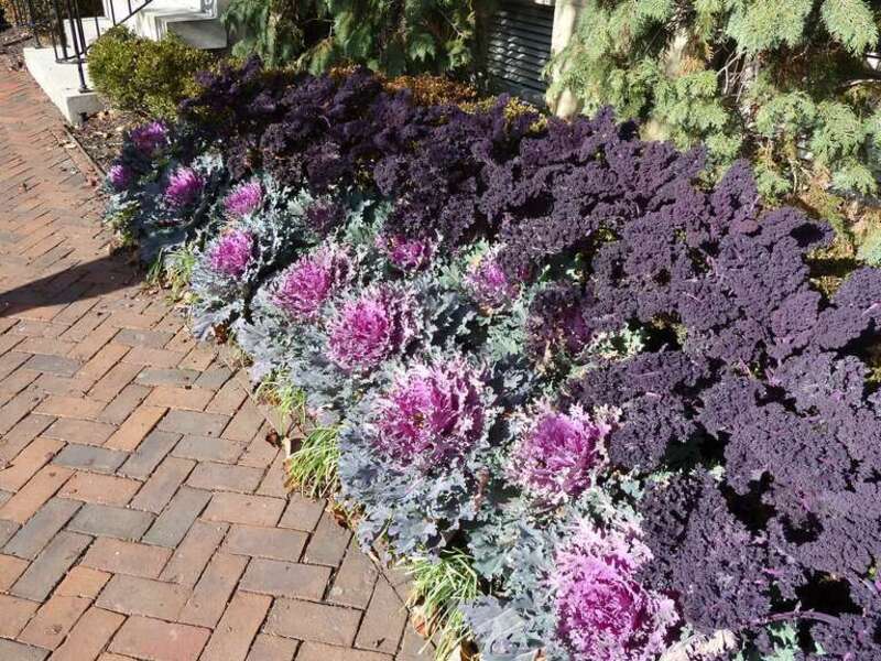 German Village in 2010 by Mark Sundstrom.