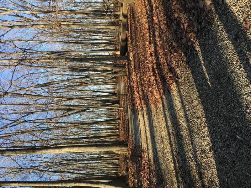 A path through the disc golf course in Glacier Ridge Metro Park.