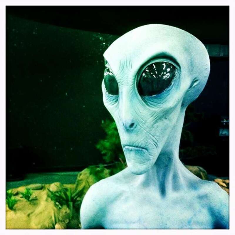 Gray Alien at UFO Museum, Roswell