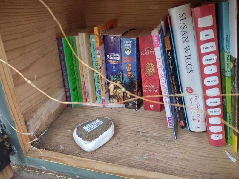 The back of a Hamilton themed painted stone, featuring a minion.