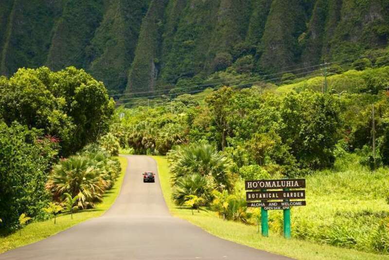 Ho'omaluhia Botanical Garden - Entrance