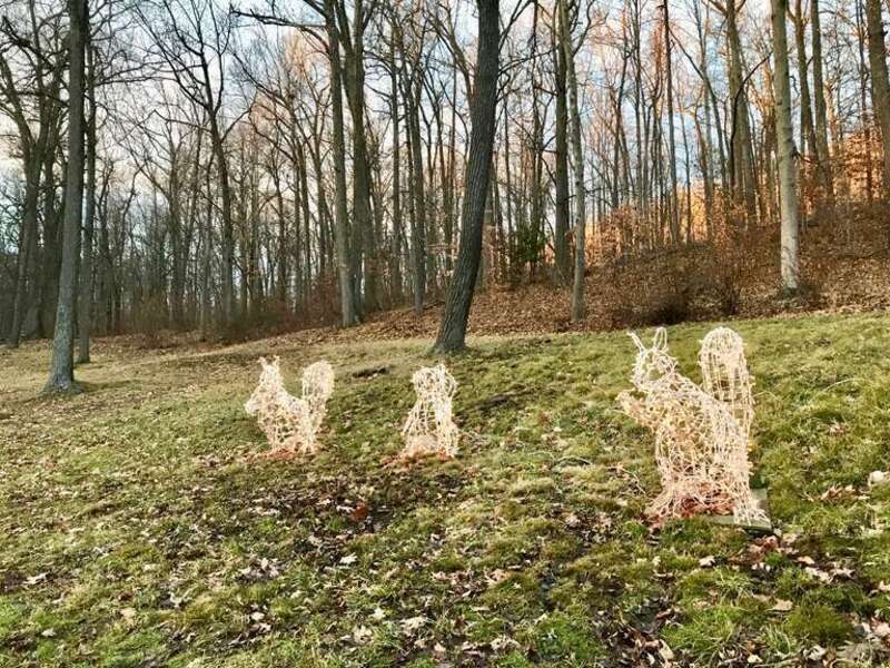 Hubbard Park Festival of Silver Lights 20181229 Rabbits