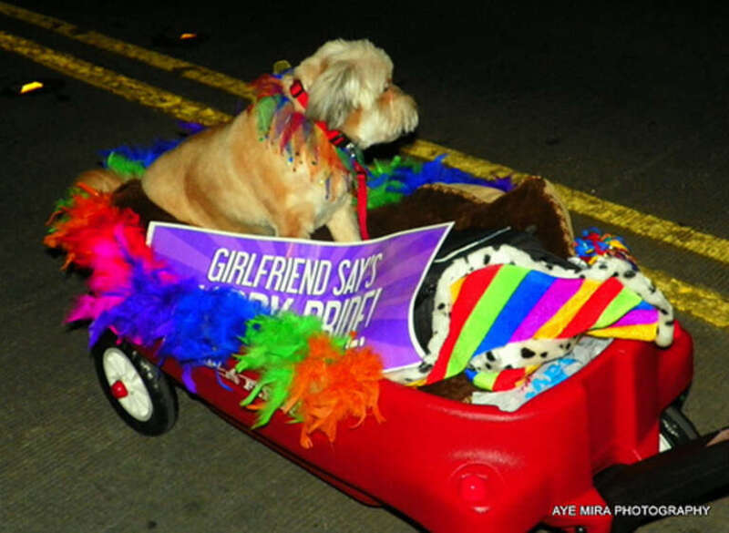 She is saying &quot;Happy Pride:&quot; as well.