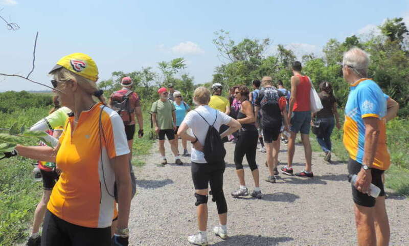 Looking west at the majority of our biker gang on footpath on a sunny midday.