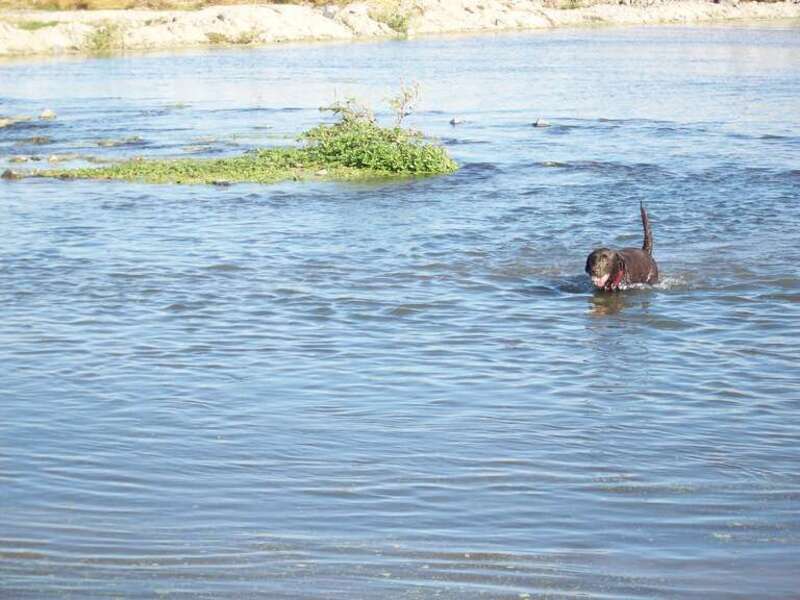 jers on santa ana river