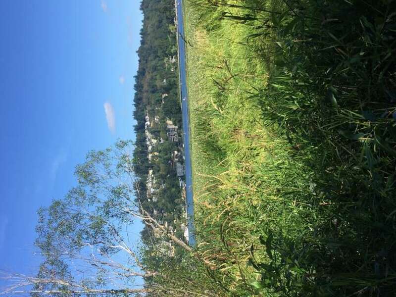 Juanita Bay Park, Kirkland