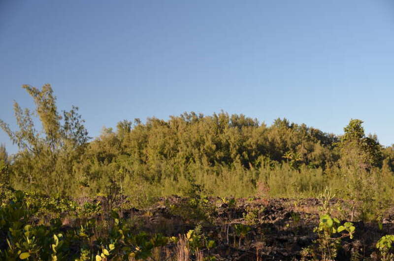 Ka wai o Pele (cf. Hawaii State Archives Digital Collections no 9900): crater with the Green Lake from outside