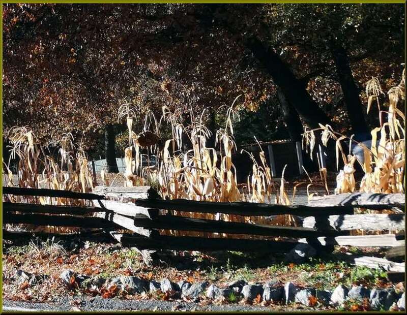 (1 in a multiple picture set)
Can't get more country than this.