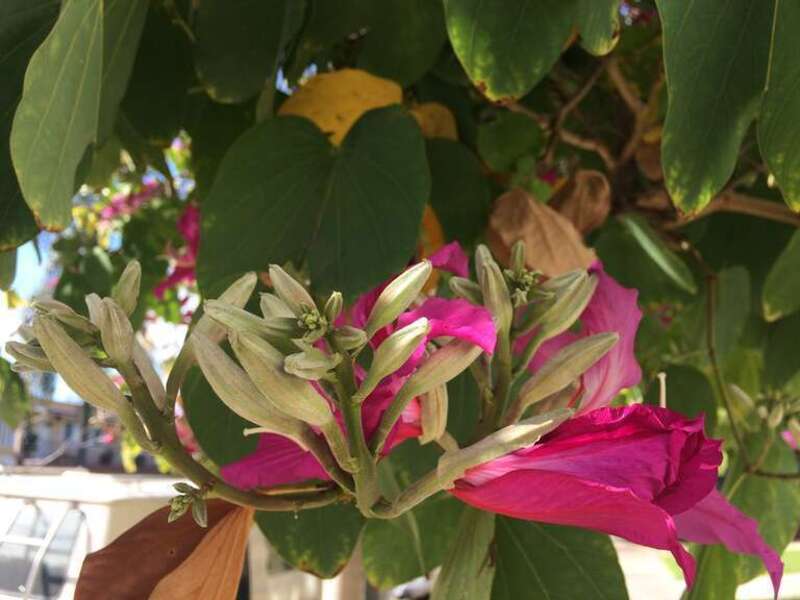 California, USA - November 2016