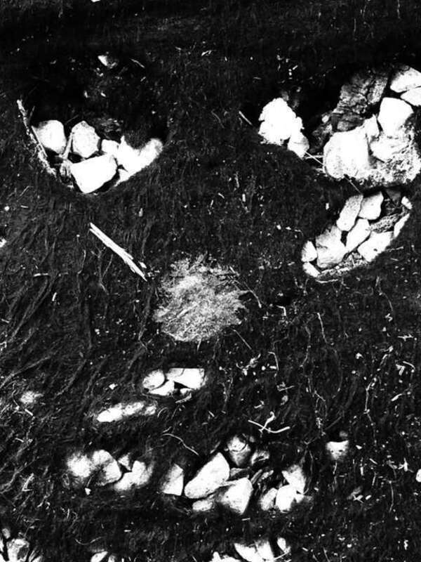 Copyrights Walter Willimann aka Mimizane
Nashville, TN