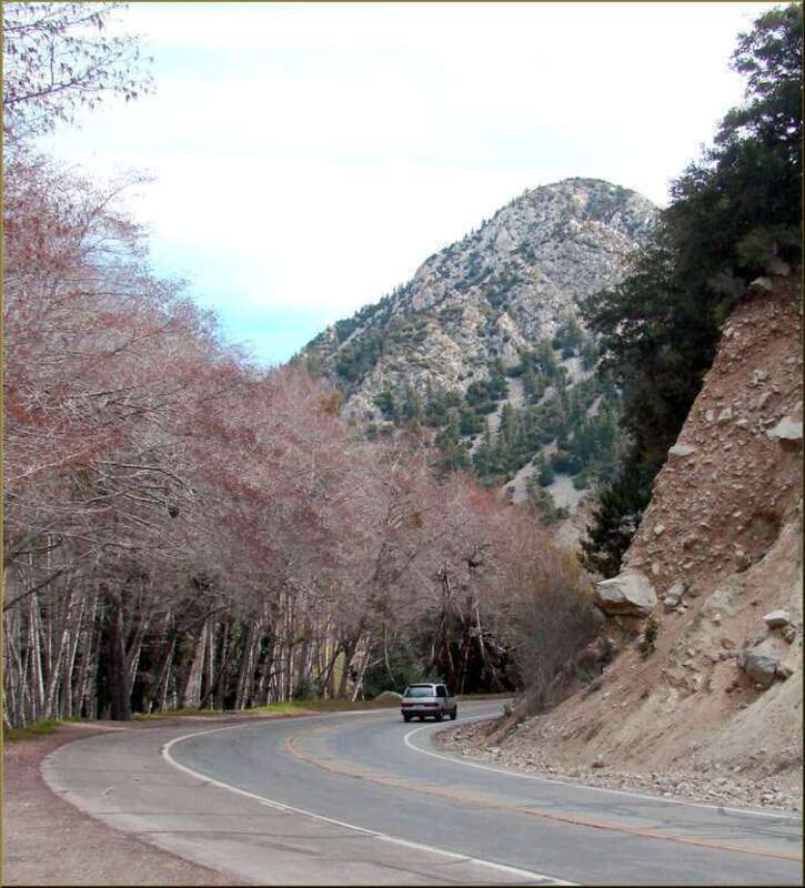 (1 in a multiple picture set)
Mt. Baldy Road will give you thrills as you climb around switchbacks.