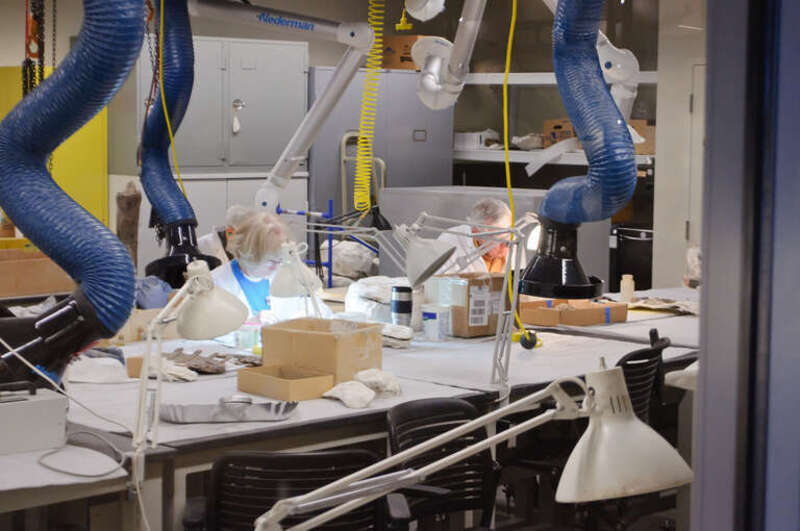 The Utah Museum of Natural History, located on the University of Utah campus at its new Rio Tinto Building home, is best known for its excellent collection of fossils (especially dinosaur fossils) as well as emphasis on the place of humans in the