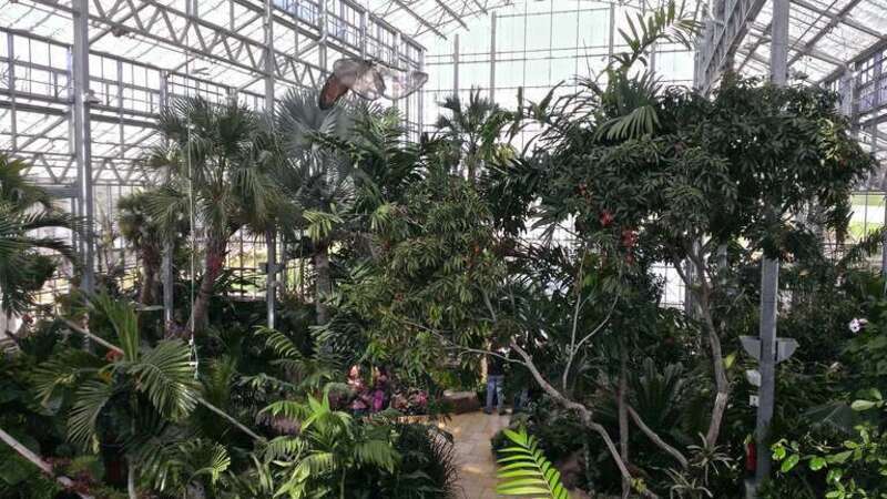 Interior of the Nicholas Conservatory in Rockford, IL