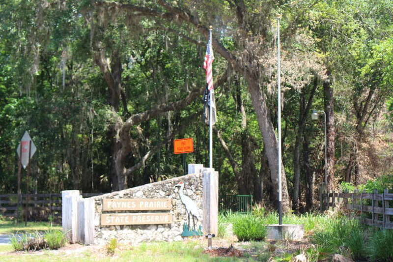 Paynes Prairie Preserve State Park, Alachua County, Florida