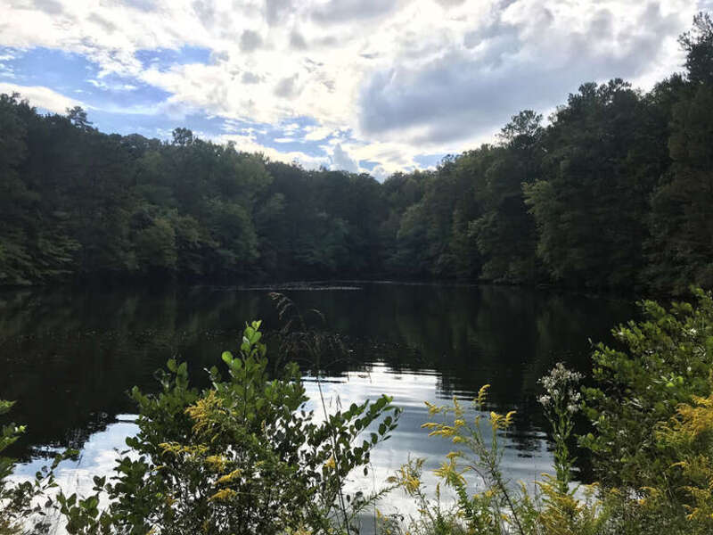 Design Support Items - Stock Downloads Supporting Compostitions - Assets - Adobe Assets - Creative Cloud Library Item - Stock Image - Outdoor Stock Images