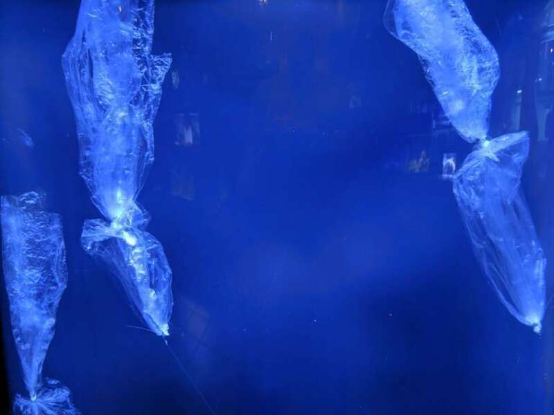 An exhibit at the Mote Marine Aquarium that displayed plastic bags in the ocean that look similar to jelly fish.