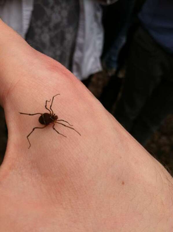 Taken with my iPhone; please excuse the poor quality* For better photos not taken with my iPhone, see: &amp;lt;a