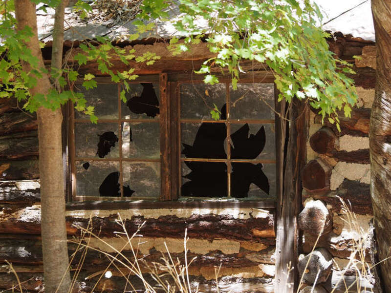 Saturday May 11, 2013 at the Ramsey Canyon Preserve.