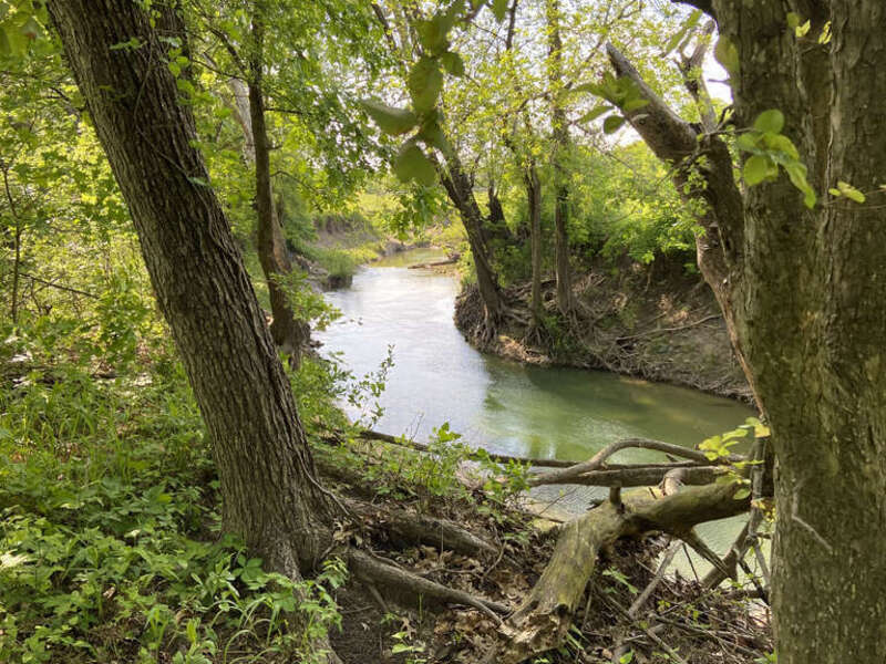 Overlooking Rowlett Creek in Oak Point Park &amp;amp; Nature Preserve