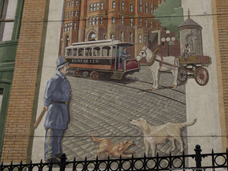 Image by Dennis Fraevich, requiring further identification/categorization.