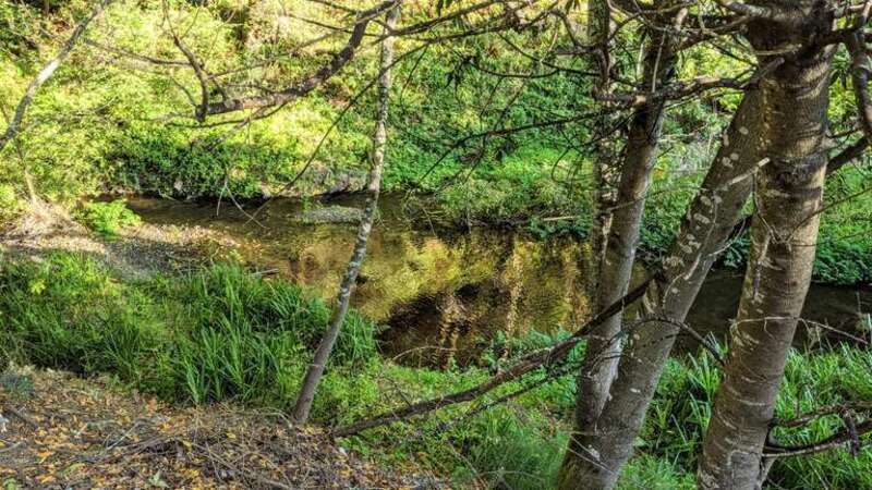 San Mateo Creek below Crystal Springs Dam
