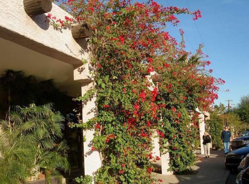 Scottsdale, Arizona, USA